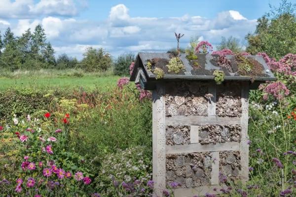 Meer biodiversiteit in je tuin