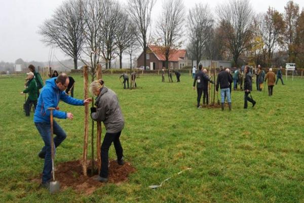 Erf of perceel  beplanten