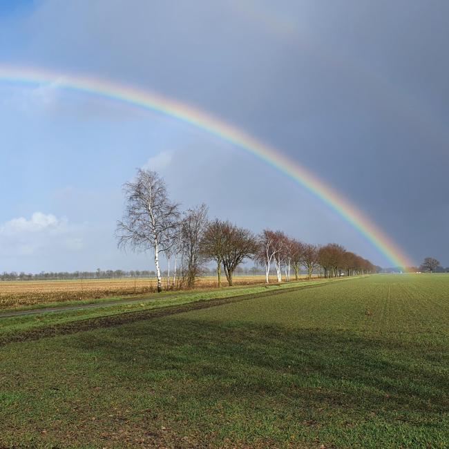Petranpad doorsteek B