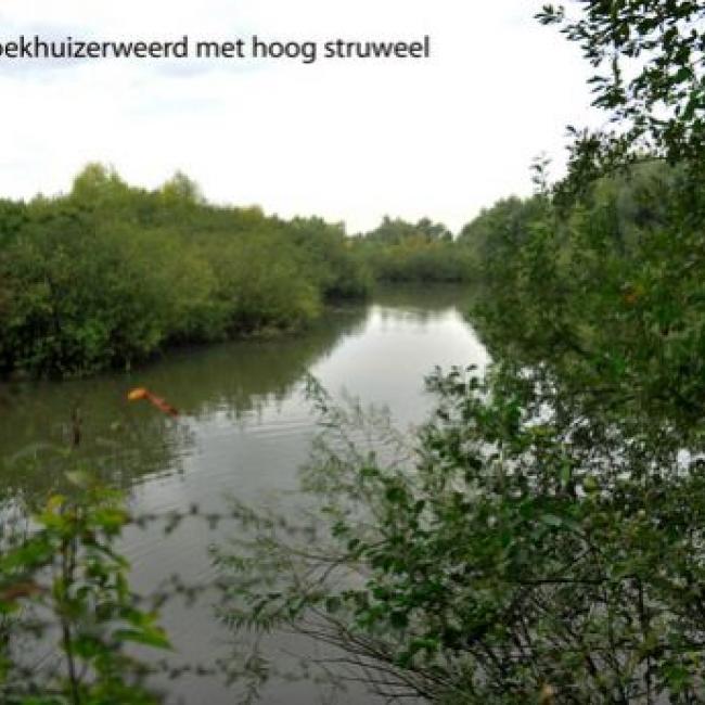 Broekhuizerweerd