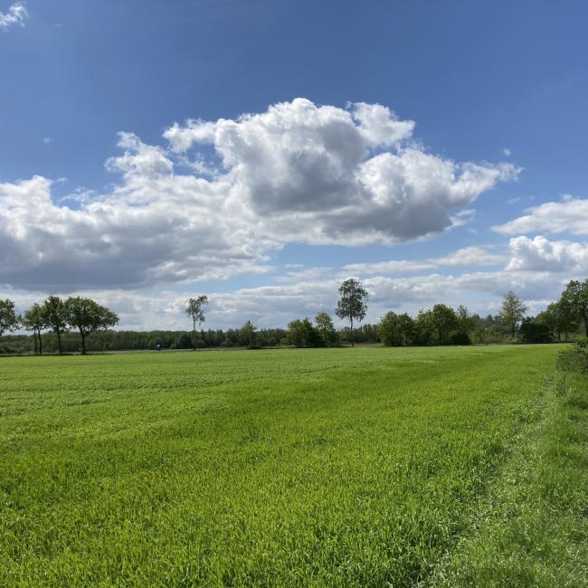 13. Acht van Tienray