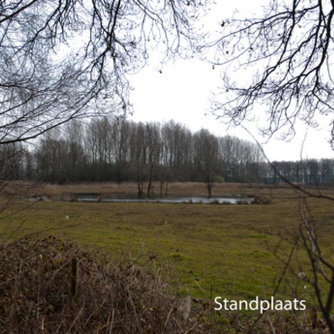 Elsbeemden