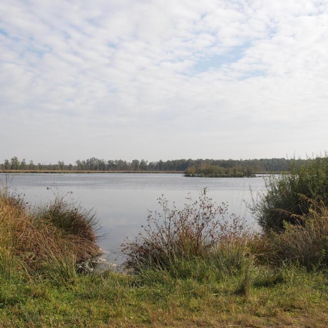 02. Rondje door Peelgebied Mariaveen - Evertsoord