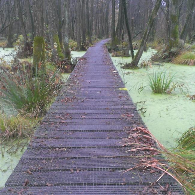 7. Schuitwater en Swolgenderheide