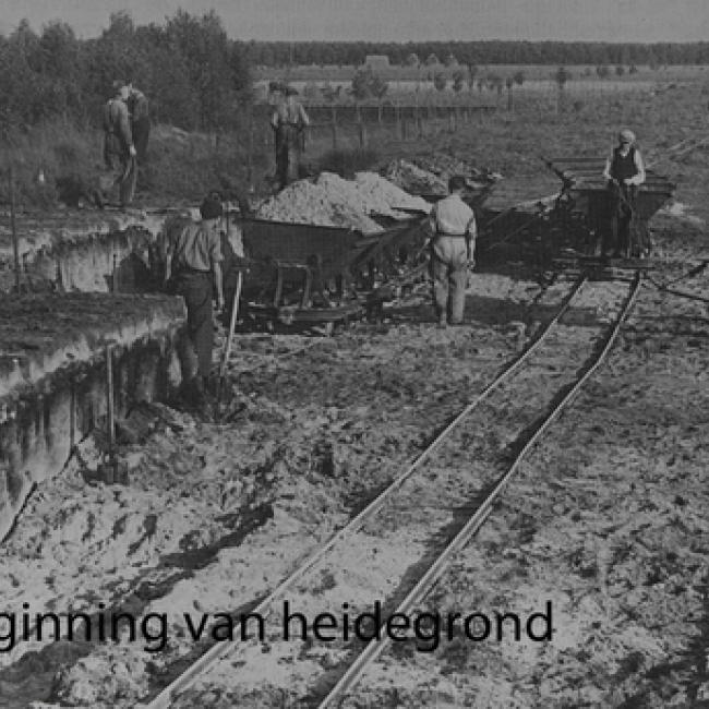 Laag heide