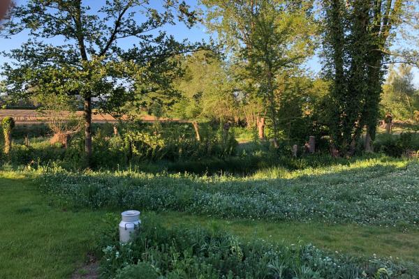 Meer biodiversiteit thuis en in je omgeving?