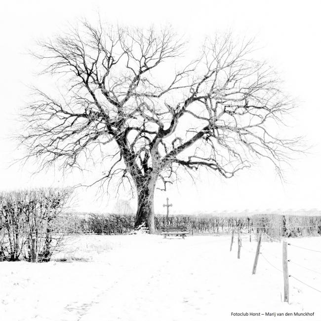 24. Landgoed de Gortmeule