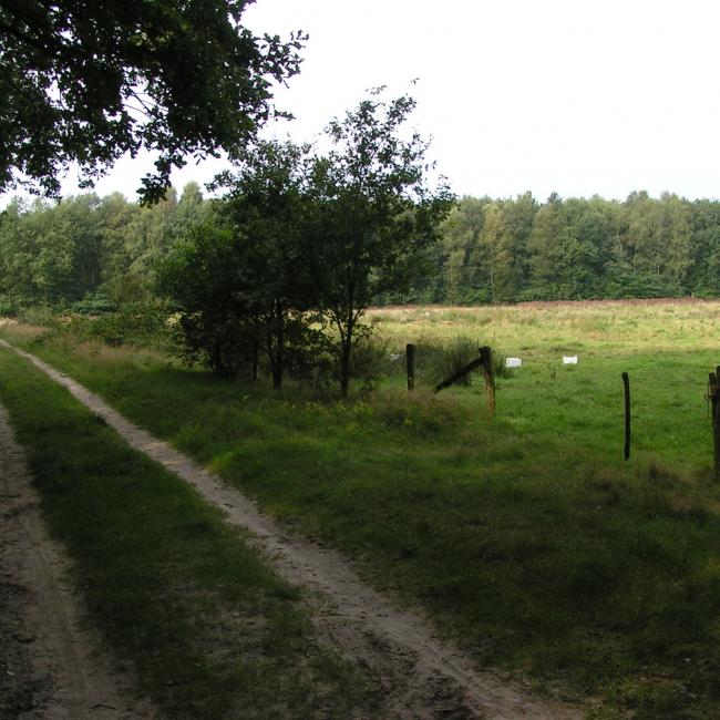 16. Stempel van de Maas