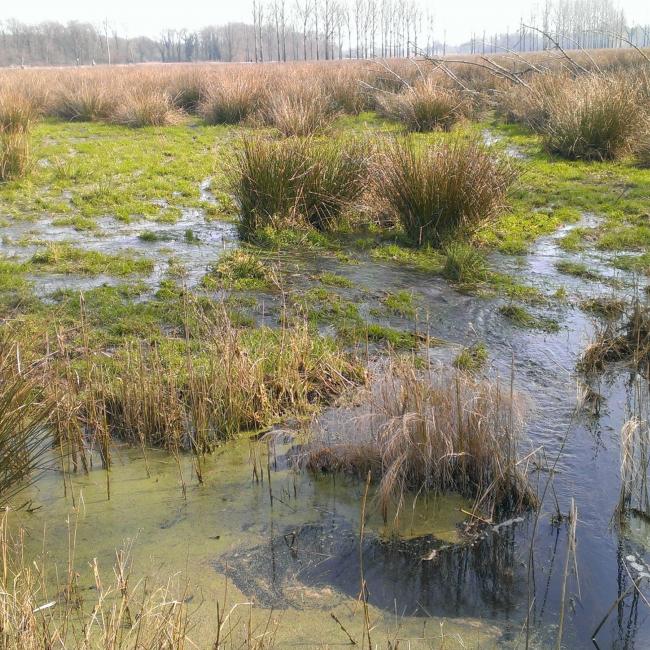 14. Ooijen en 't Sohr