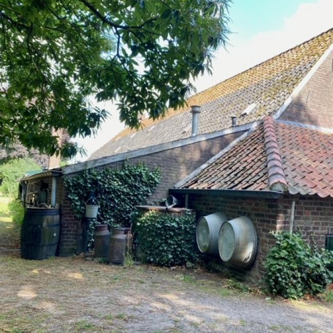 11. Gortmeulepad