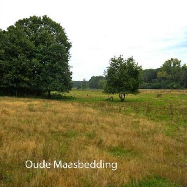 Middenterras