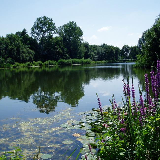 18. Lottumer Schuitwaterroute