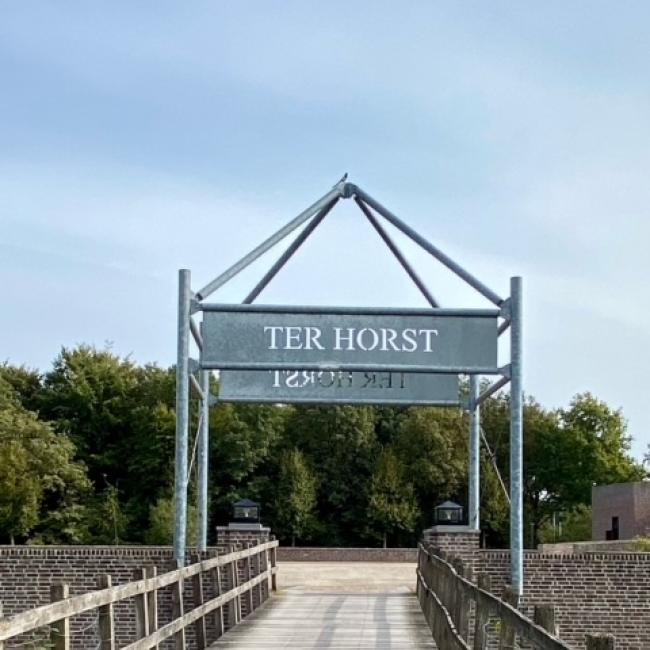 Kasteelruïne Huys ter Horst