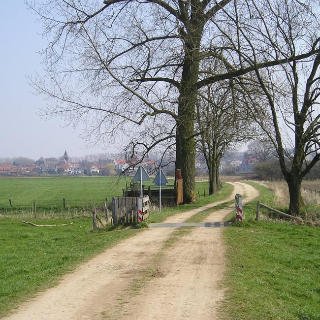 16. Stempel van de Maas