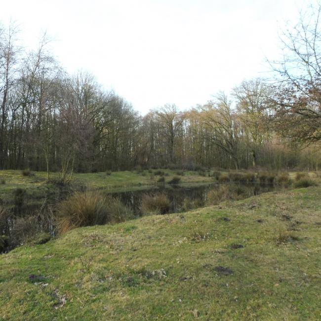 11. Gortmeulepad