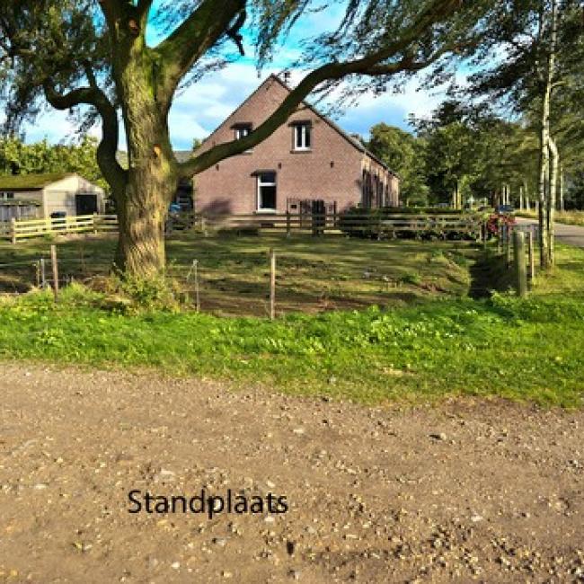 Witveld