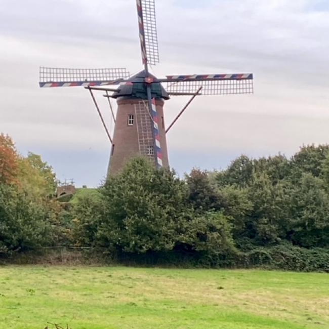 Houthuizer molen