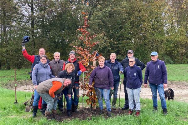 Bomen planten