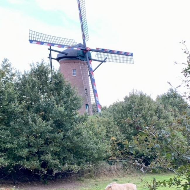 Houthuizer molen