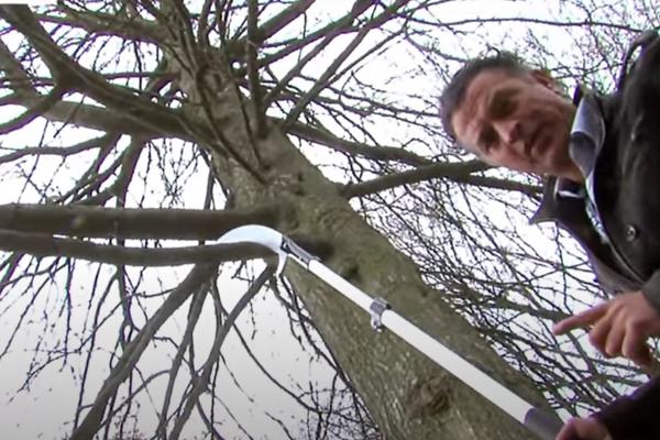 Hoe kan ik een dikke tak afzagen van een boom? - Tuinieren.nl