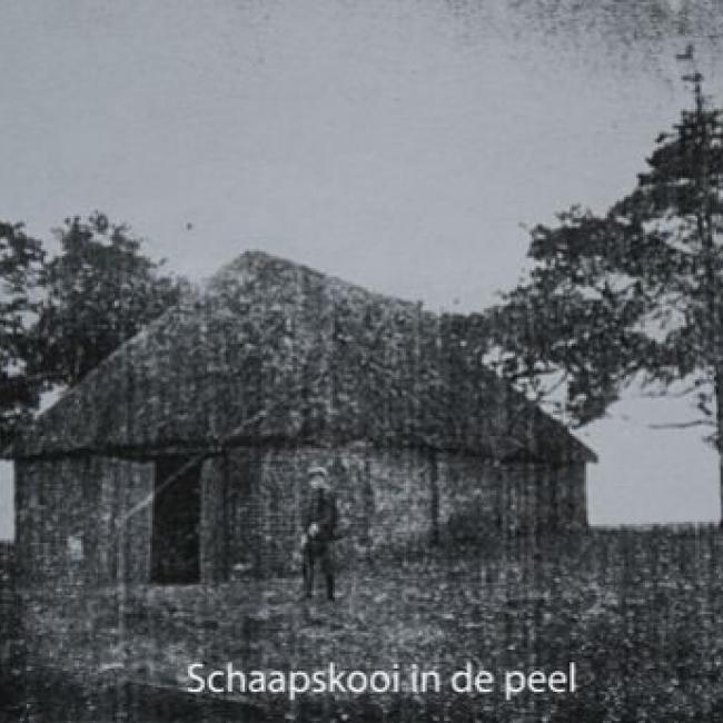 Paardenkop