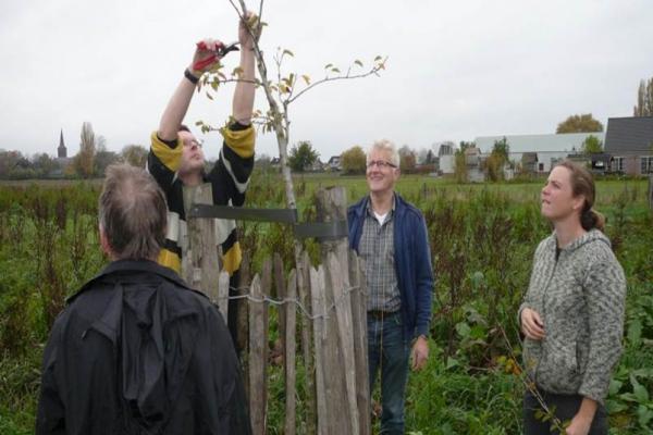 Cursussen en trainingen, werkdagen, activiteiten