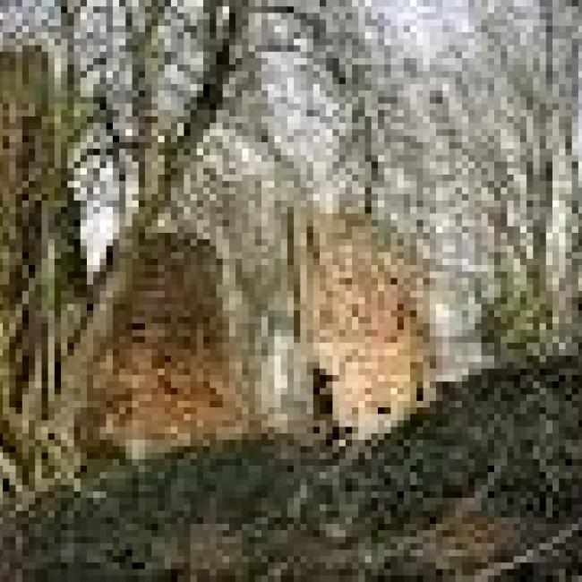 Kasteelruïne