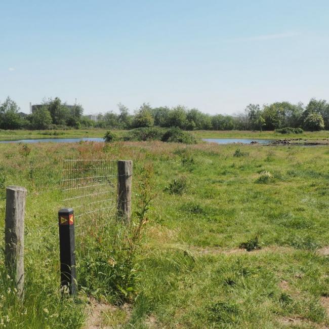 08b. Landschapspad 't Ham en Brommèr