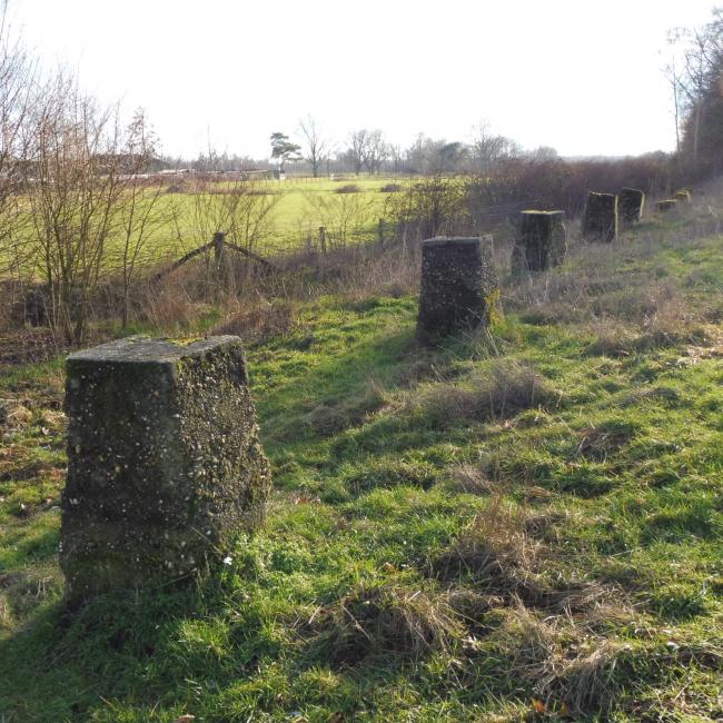 01. Door Peel en Griendtsveen