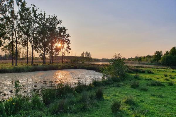 Wandelen met verhalen 2026