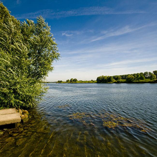 6. De Loswal