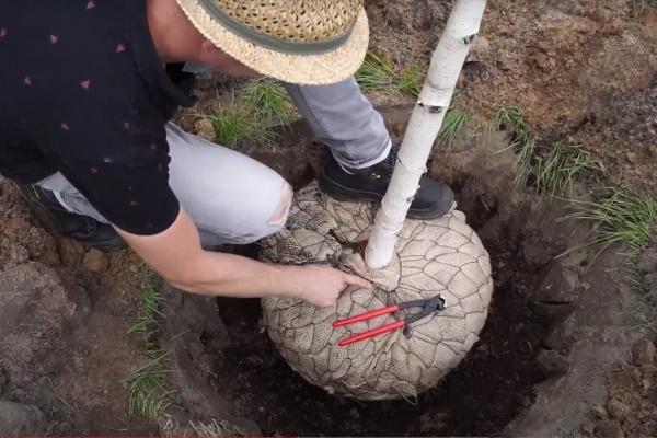 Instructievideo: Boom planten | Hoe moet ik een boom planten?