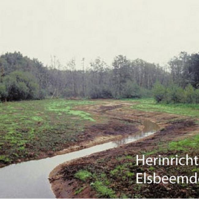 Elsbeemden