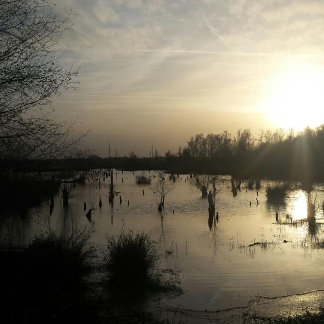 02. Rondje door Peelgebied Mariaveen - Evertsoord