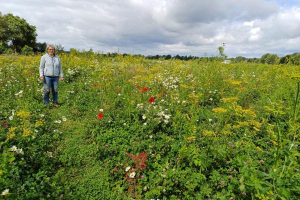 Samen maken we een fleurig bloemenlint door Horst aan de Maas!