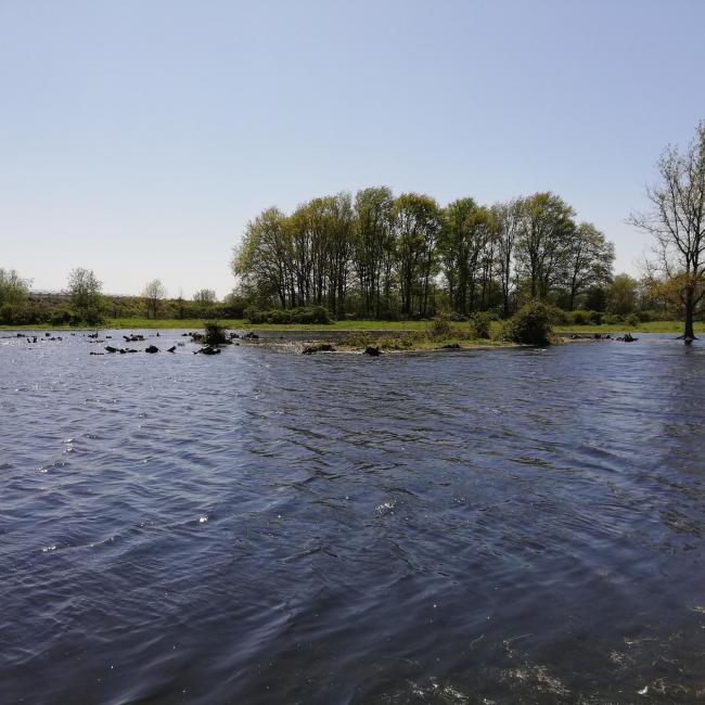 08b. Landschapspad 't Ham en Brommèr