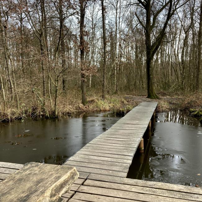 18. Lottumer Schuitwaterroute