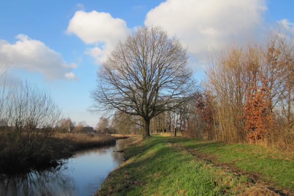 Groote Molenbeek Tienray