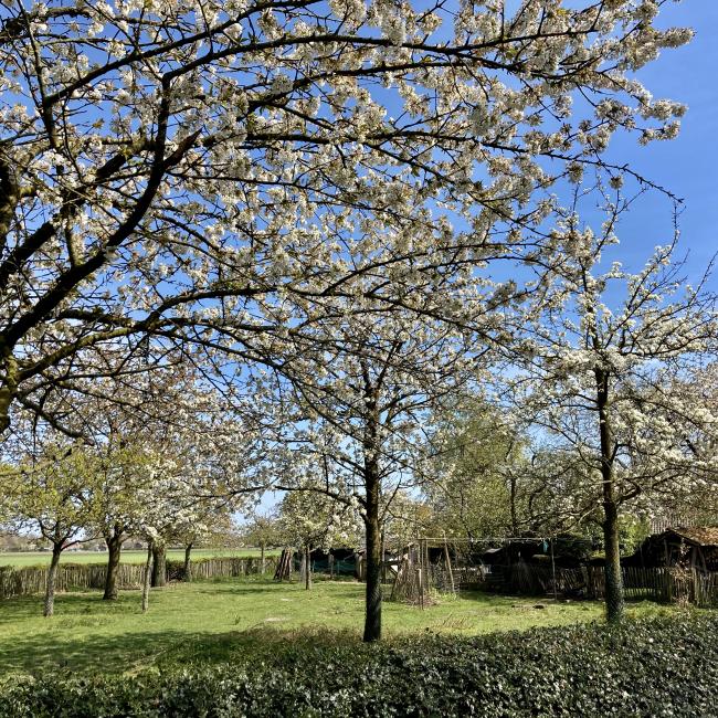 Ommetje Steegberg