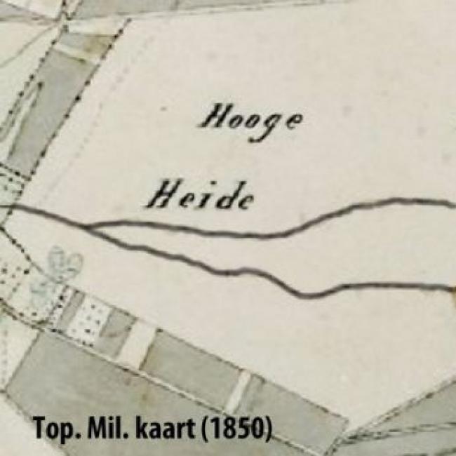 Hooge heide