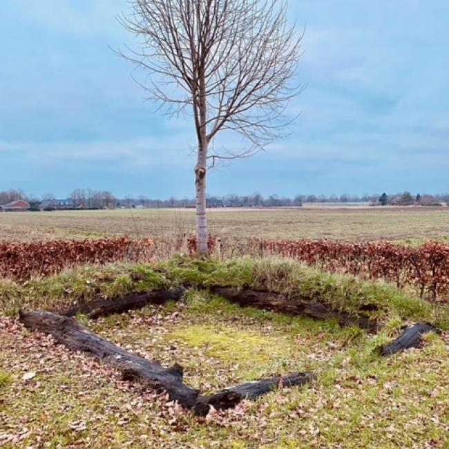 Rowwen Hèze