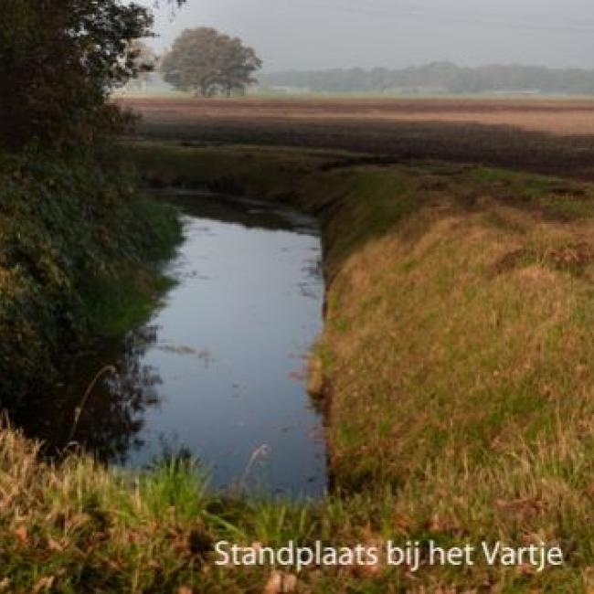 ‘t Vartje