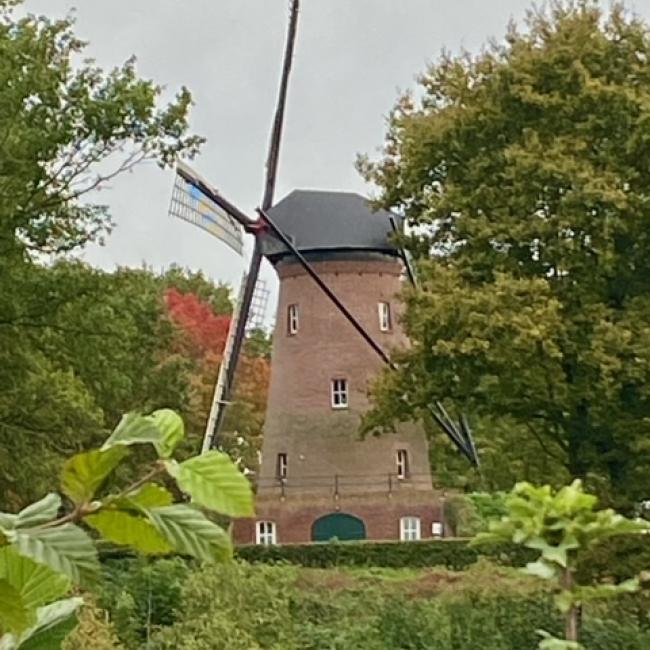 Houthuizer molen
