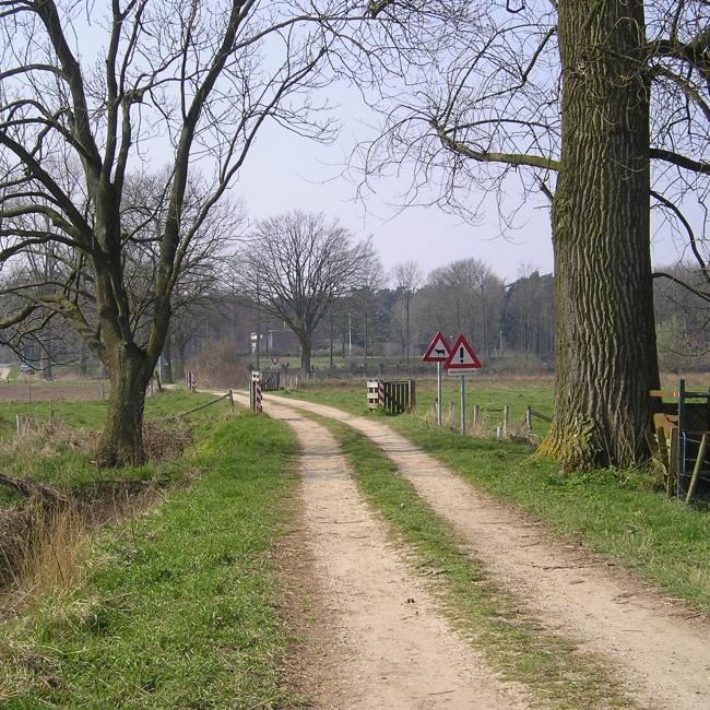 16. Stempel van de Maas