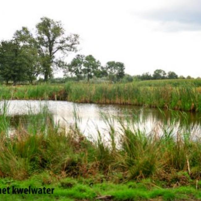 Aastbroek