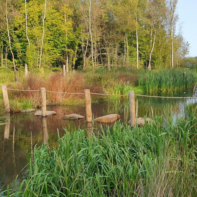 11. Gortmeulepad