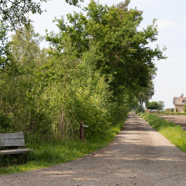 02. Rondje door Peelgebied Mariaveen - Evertsoord