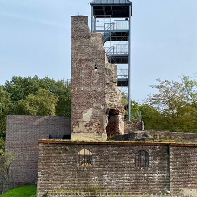 Kasteelruïne Huys ter Horst