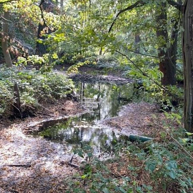 Voormalige watermolen kasteel ter Horst