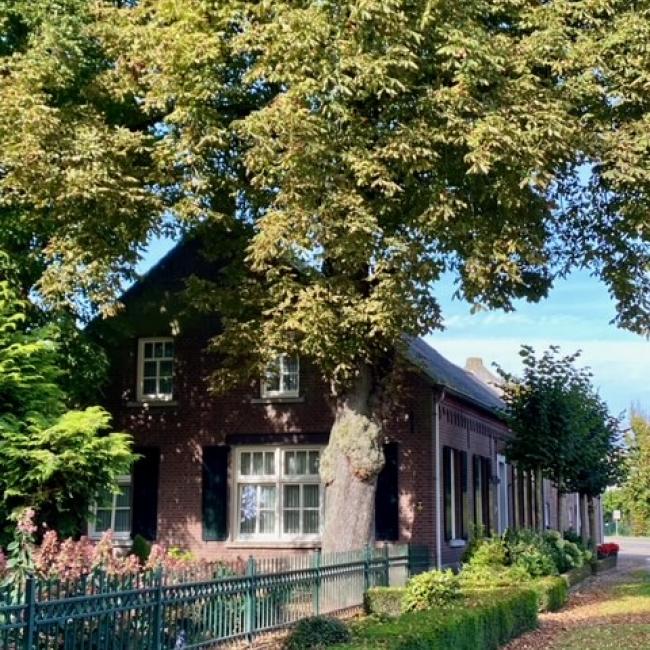 Voormalige watermolen kasteel ter Horst
